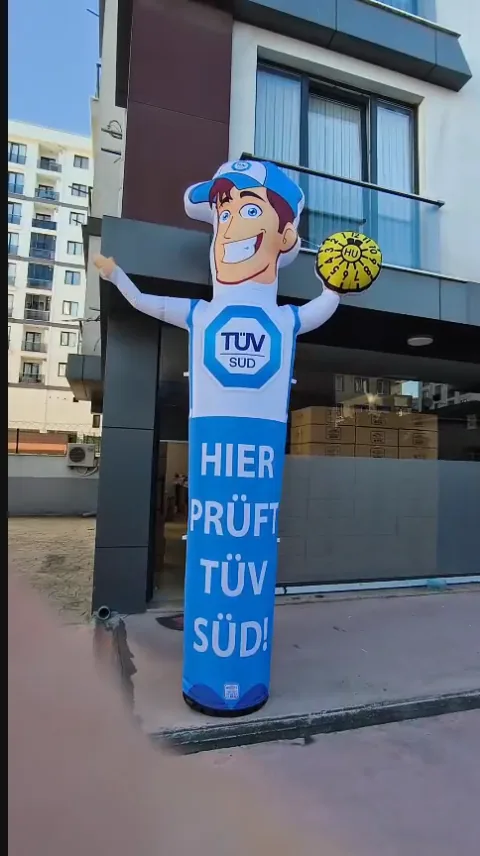 TÜV SÜD — Figura consulente revisione